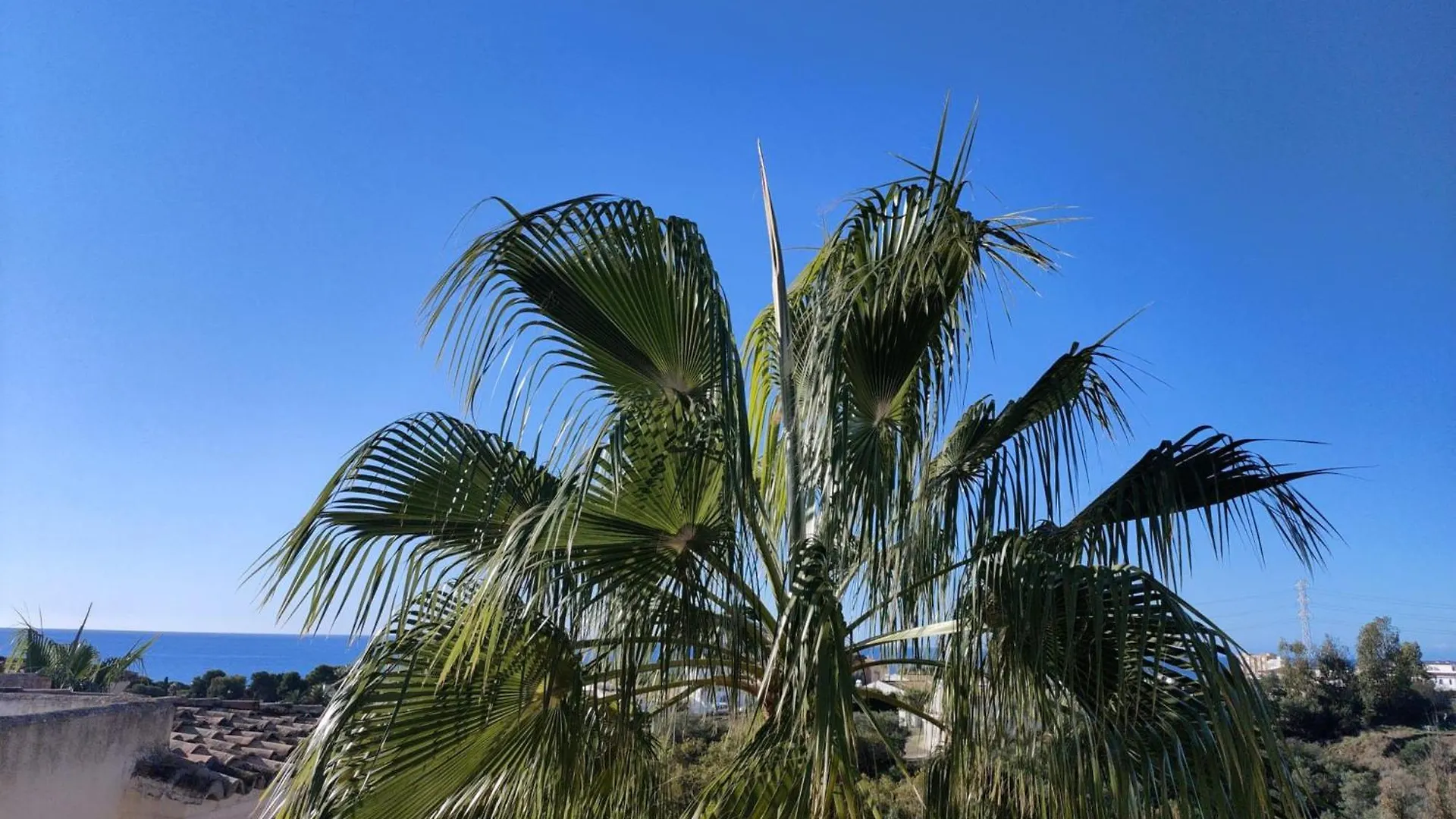 Sea View Apartment Malaga 0*,