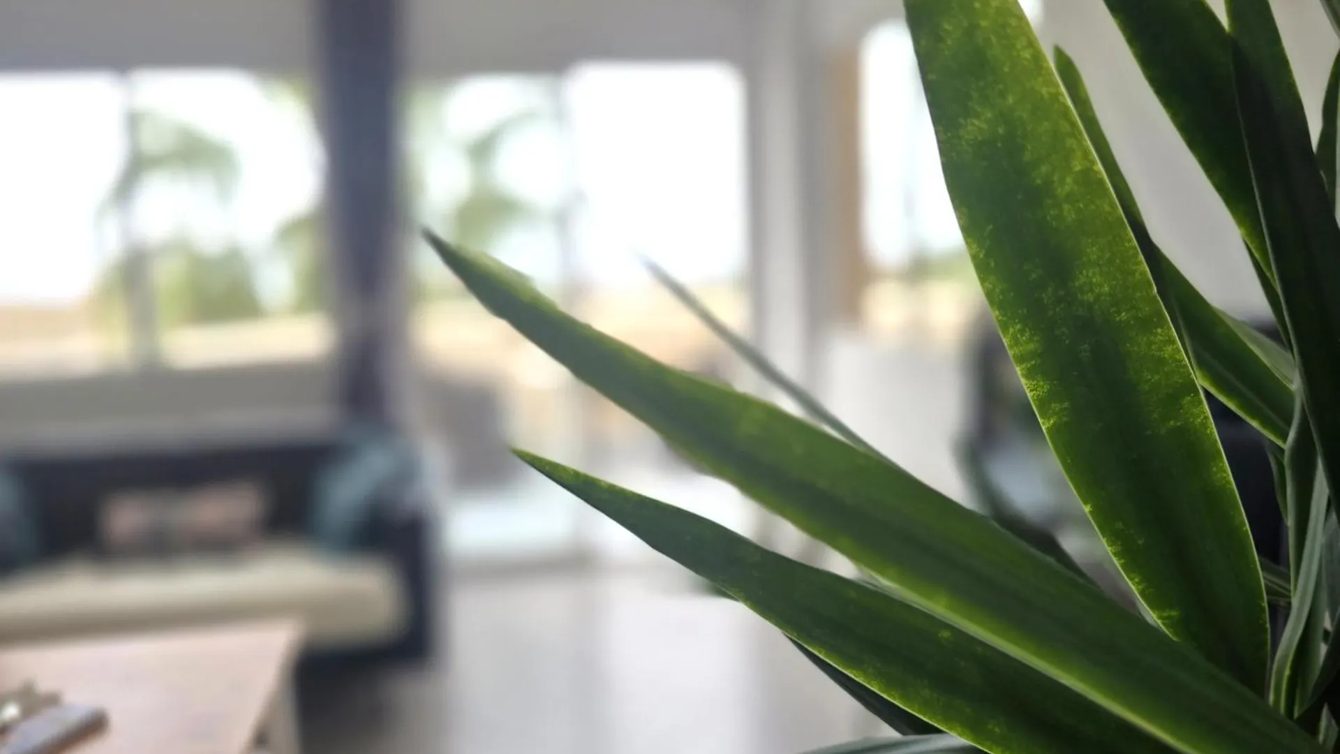 Sea View Apartment Μάλαγα